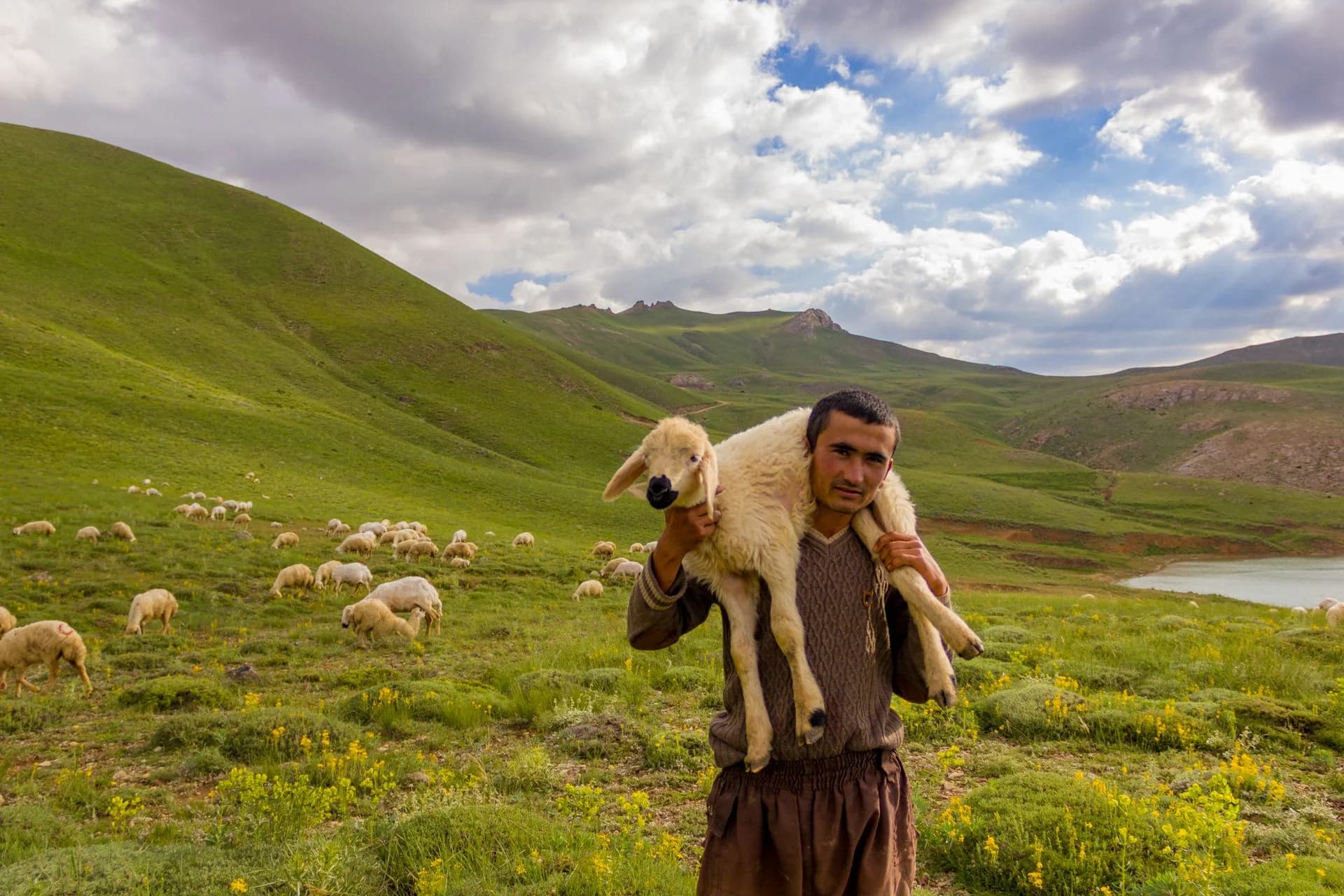 Never Alone: The Shepherd Who Walks With You Through Every Storm
